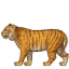 :tiger2: