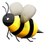 :bee: