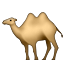 :camel: