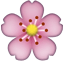 :cherry_blossom: