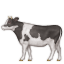 :cow2: