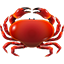 :crab: