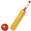 :cricket:
