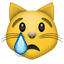 :crying_cat_face: