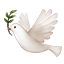 :dove: