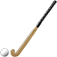 :field_hockey: