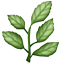 :herb: