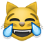:joy_cat: