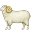 :ram: