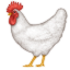 :rooster:
