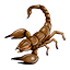 :scorpion: