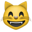 :smile_cat: