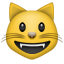 :smiley_cat: :smiley_cat: