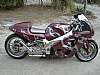 Ziad
